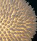 dizajnov� stojaca lampa SIRENA biela - pohlad 2 - www.glancshop.sk