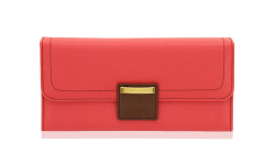 cestovn� �perkovnica Friedrich Ascot 1