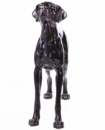 bronzov� socha stojaci loveck� pes 10 - pohlad 1 - www.glancshop.sk