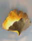 dizajnov� n�stenn� svietidlo GINKGO DUE - pohlad 3 - www.glancshop.sk