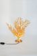 dizajnov� stoln� lampa CORADORIA 1 - pohlad 2 - www.glancshop.sk