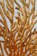 dizajnov� stoln� lampa CORADORIA 1 - pohlad 5 - www.glancshop.sk